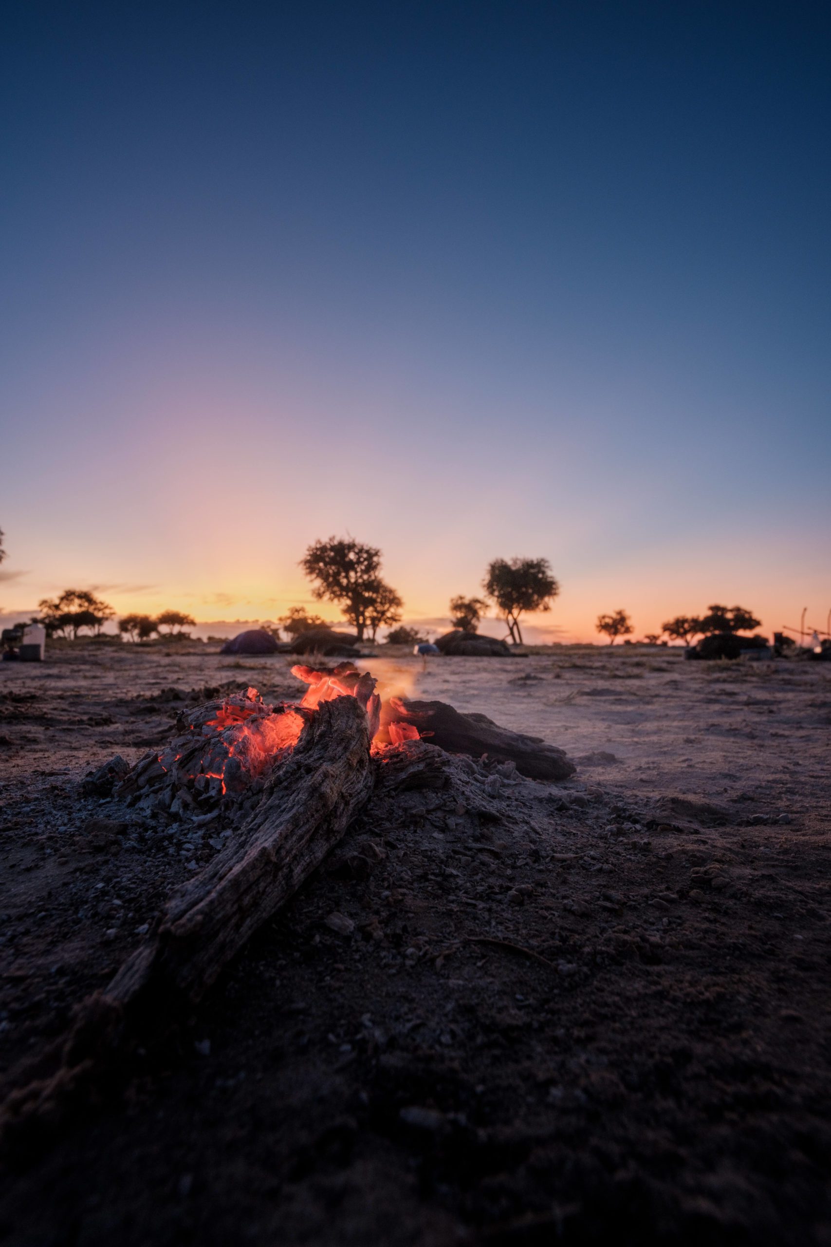 Primitive trails, Lowveld Trails Co, Kalahari Primitive Trail, Lowveld Trails Co., Primitive Trail, Kgalagadi Transfrontier National Park, Mentorship trails, Trails guides, FGASA qualification, Lowveld Trails Company, Trails Company South Africa, Trails Company Limpopo, Walking Trails, Trails guide training, Lowveld Trails Company Hoedspruit South Africa