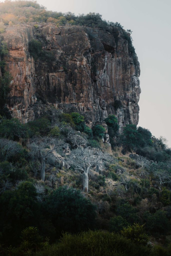 Primitive trails, Lowveld Trails Co, Makuya Primitive Trail, Lowveld Trails Co., Levuvhu River, Primitive Trail, Makunya Nature Reserve, Mentorship trails, Trails guides, FGASA qualification, Lowveld Trails Company, Trails Company South Africa, Trails Company Limpopo, Walking Trails, Trails guide training, Lowveld Trails Company Hoedspruit South Africa
