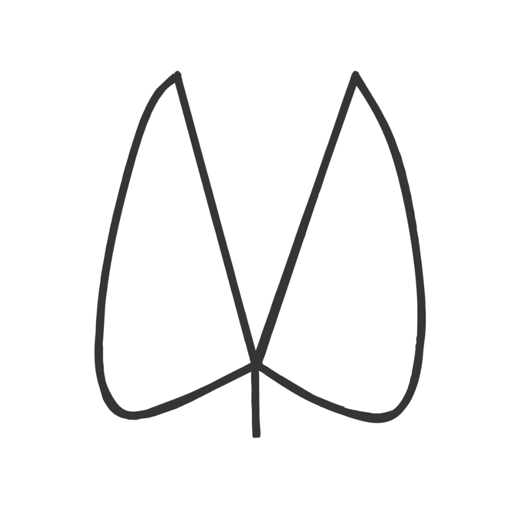 Primitive trails, Lowveld Trails Co, Makuya Primitive Trail, Lowveld Trails Co., Levuvhu River, Primitive Trail, Makunya Nature Reserve, Mentorship trails, Trails guides, FGASA qualification, Lowveld Trails Company, Trails Company South Africa, Trails Company Limpopo, Walking Trails, Trails guide training, Lowveld Trails Company Hoedspruit South Africa