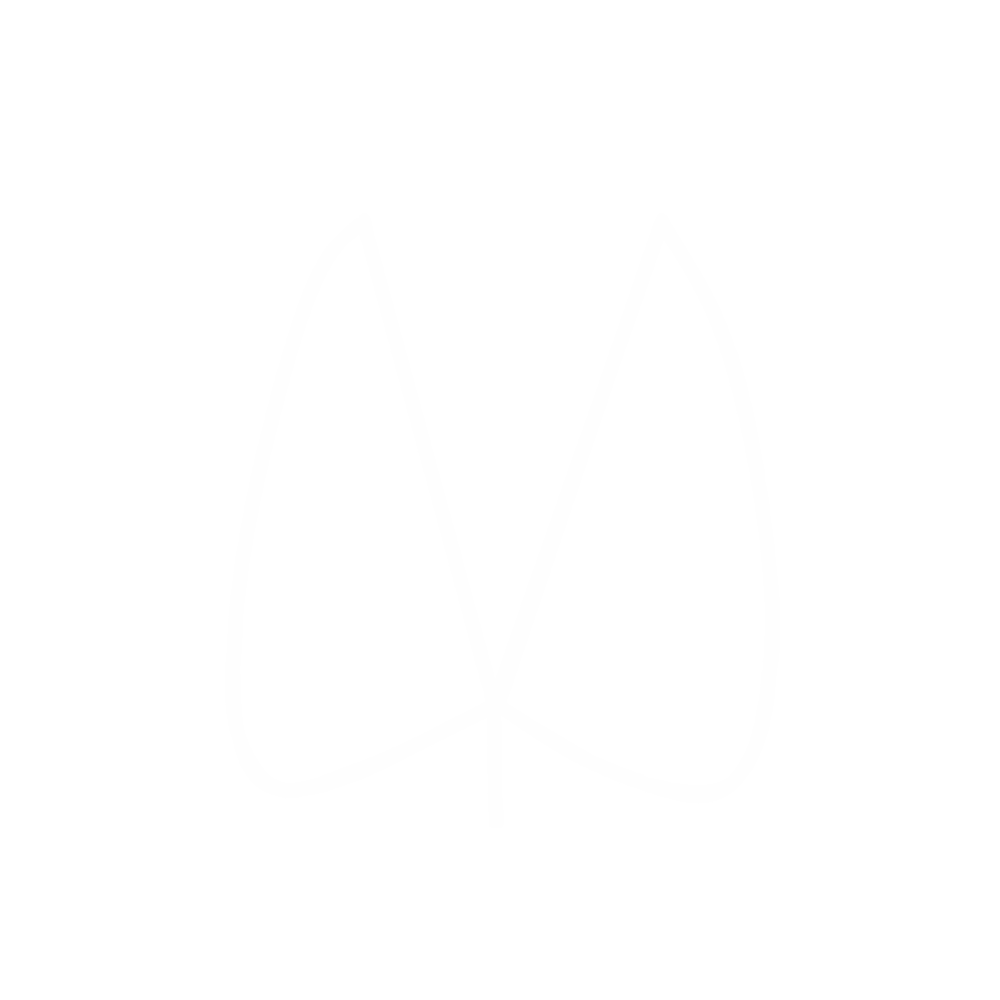 Primitive trails, Lowveld Trails Co, Makuya Primitive Trail, Lowveld Trails Co., Levuvhu River, Primitive Trail, Makunya Nature Reserve, Mentorship trails, Trails guides, FGASA qualification, Lowveld Trails Company, Trails Company South Africa, Trails Company Limpopo, Walking Trails, Trails guide training, Lowveld Trails Company Hoedspruit South Africa