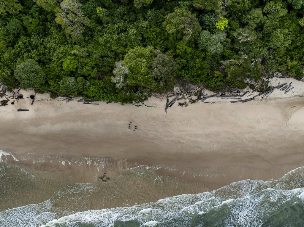 Gabon: Reflections on our First-Ever Wilderness Experience