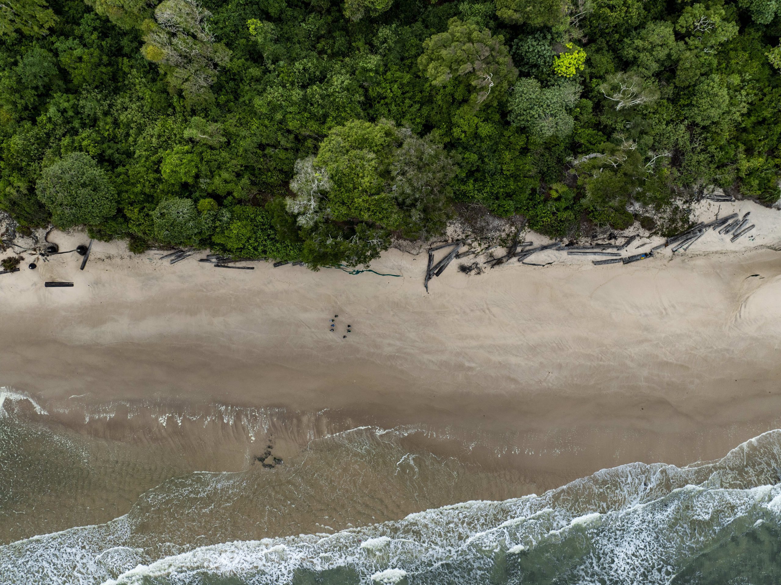 Gabon: Reflections on our First-Ever Wilderness Experience